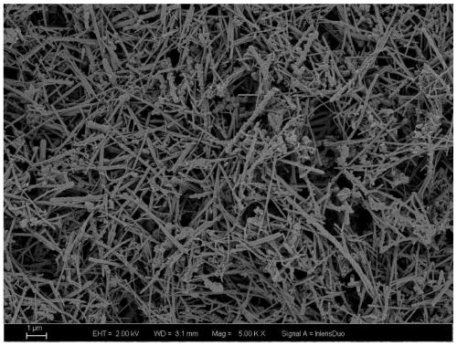 Boron carbide coated carbon nanotube and preparation method and application thereof