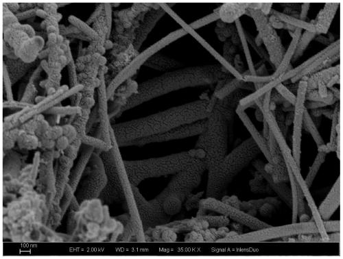 Boron carbide coated carbon nanotube and preparation method and application thereof