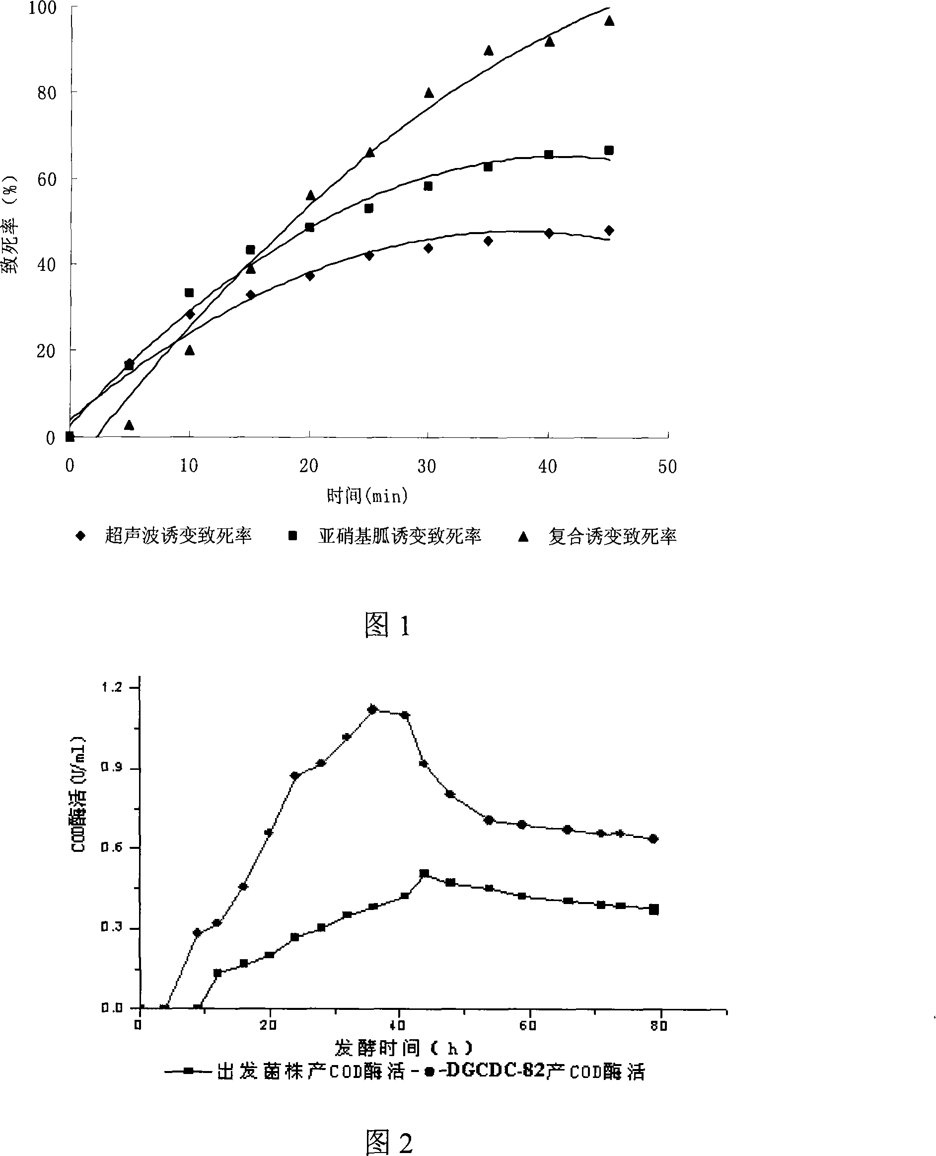 Red steroid brevibacterium for highly yielding cholesterol oxidase