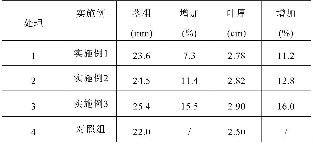 Silicon-rich fertilizer special for ginger and preparation method thereof