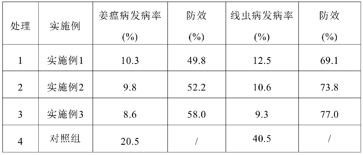 Silicon-rich fertilizer special for ginger and preparation method thereof