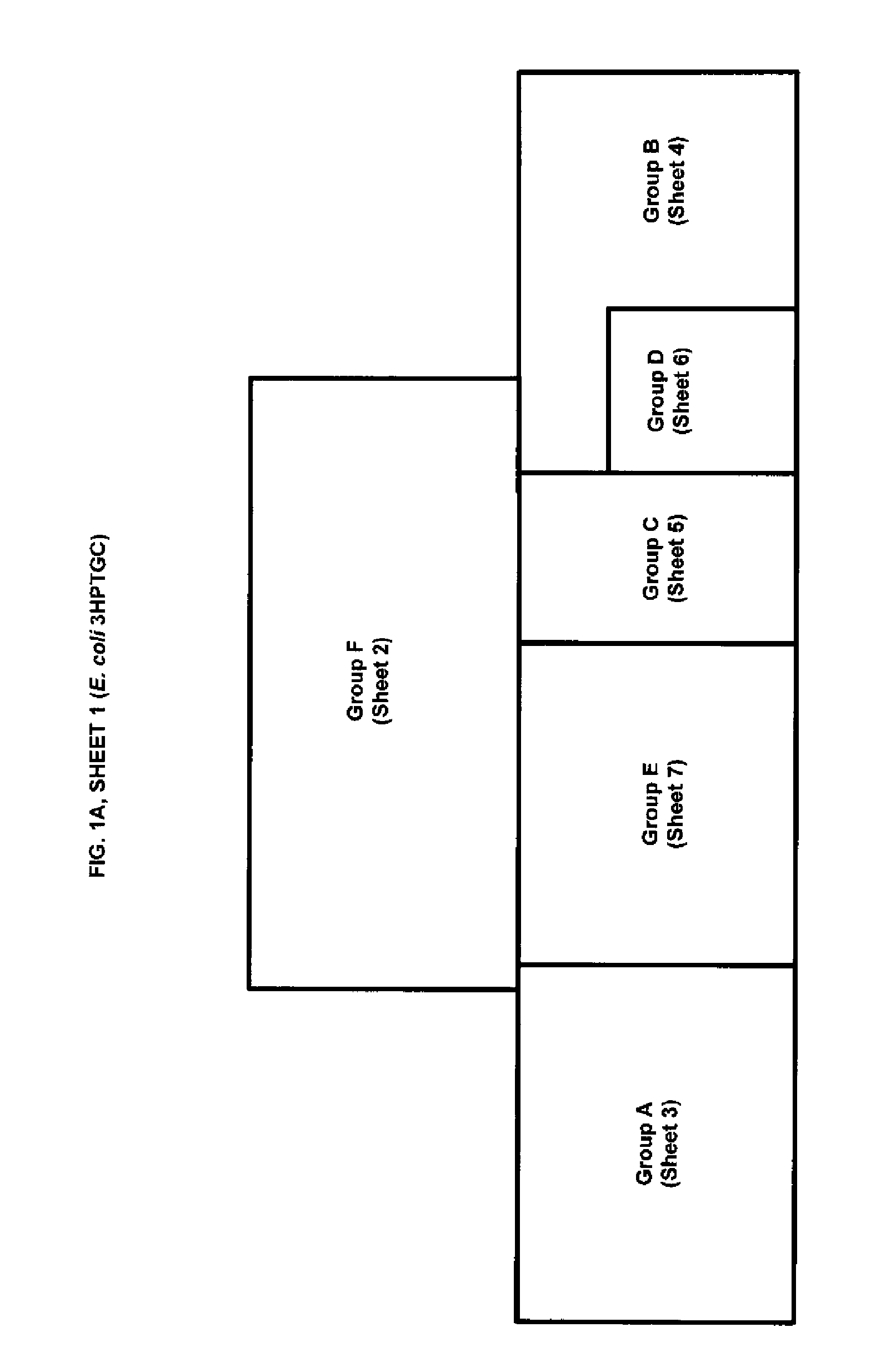 Methods, systems and compositions for increased microorganism tolerance to and production of 3-hydroxypropionic acid (3-hp)