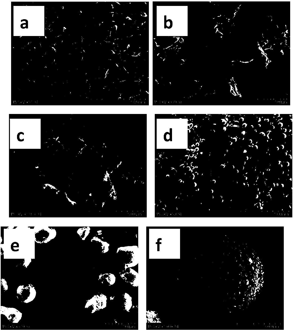 Polymer-based micron/nano functional composite spherical powder and preparing method thereof