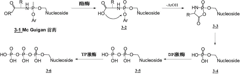 Novel nucleoside phosphate prodrug containing substituted benzyl, preparation method and application thereof