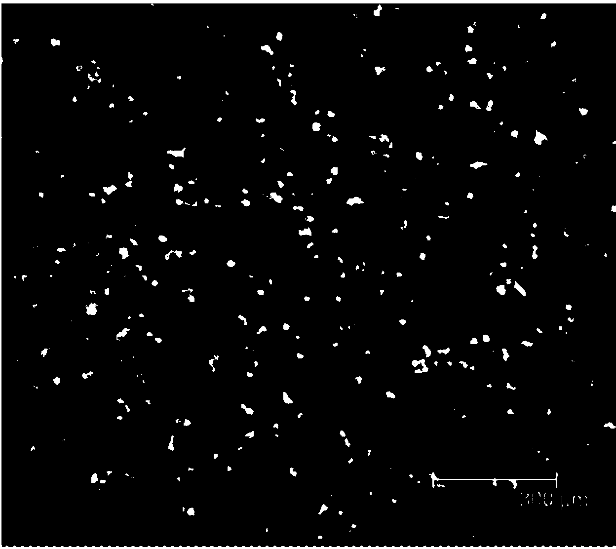 Lipidosome-protected nano-gold gene vector and preparation method thereof