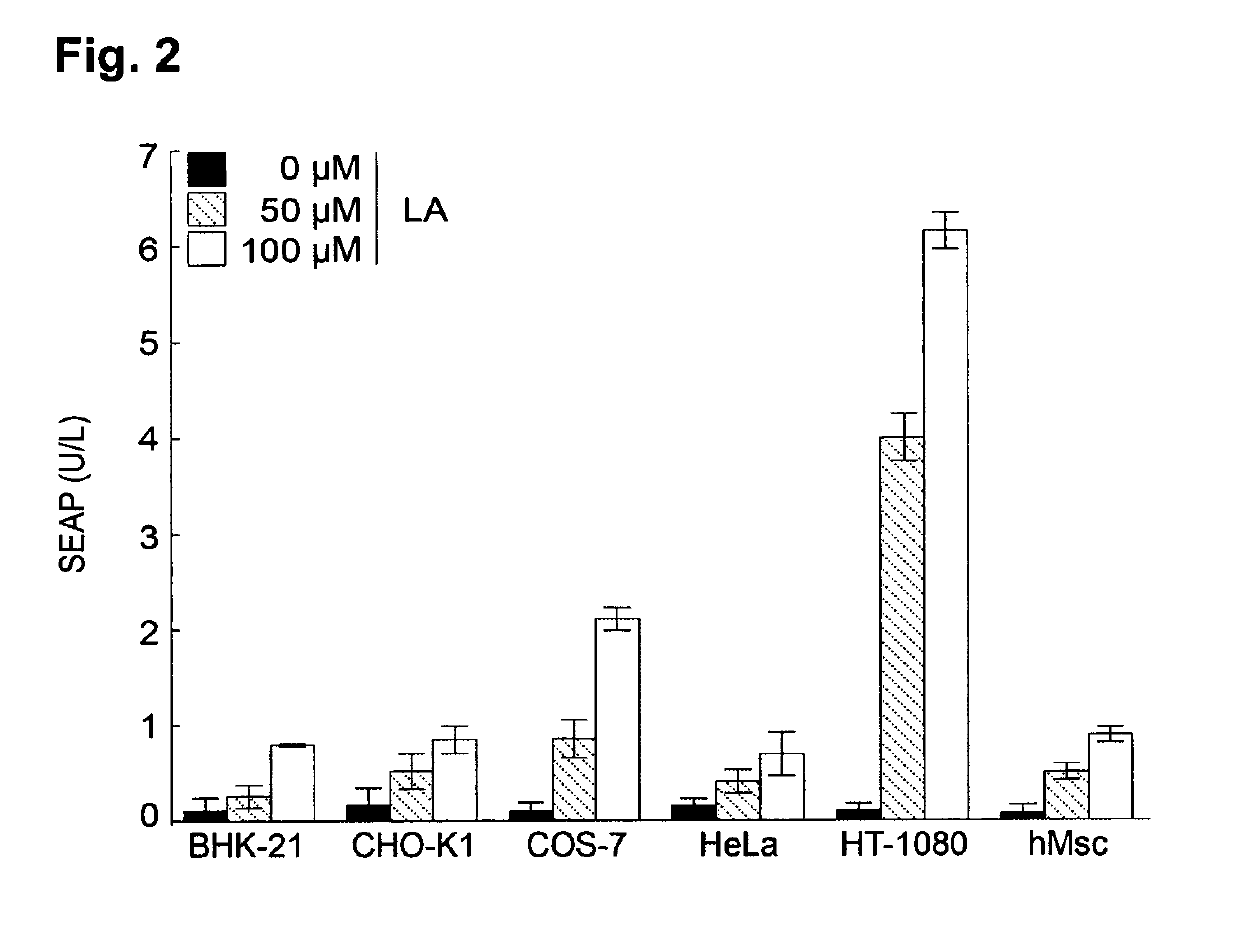 Designer circuit controlling diet-induced obesity