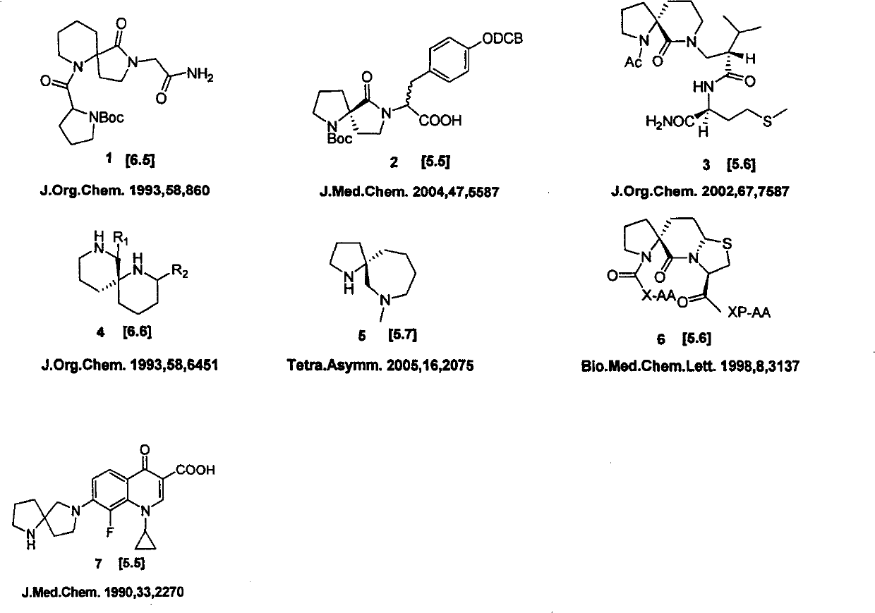 Preparation method of alpha-aza toroid drug template