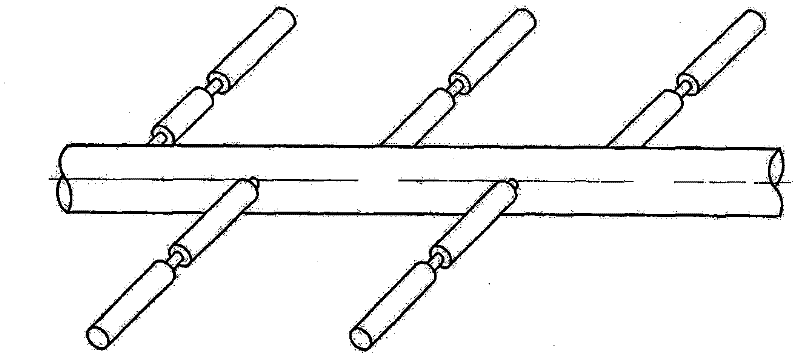 Double-tube water distribution device with biomembrane reaction of subsurface flow type constructed wetland