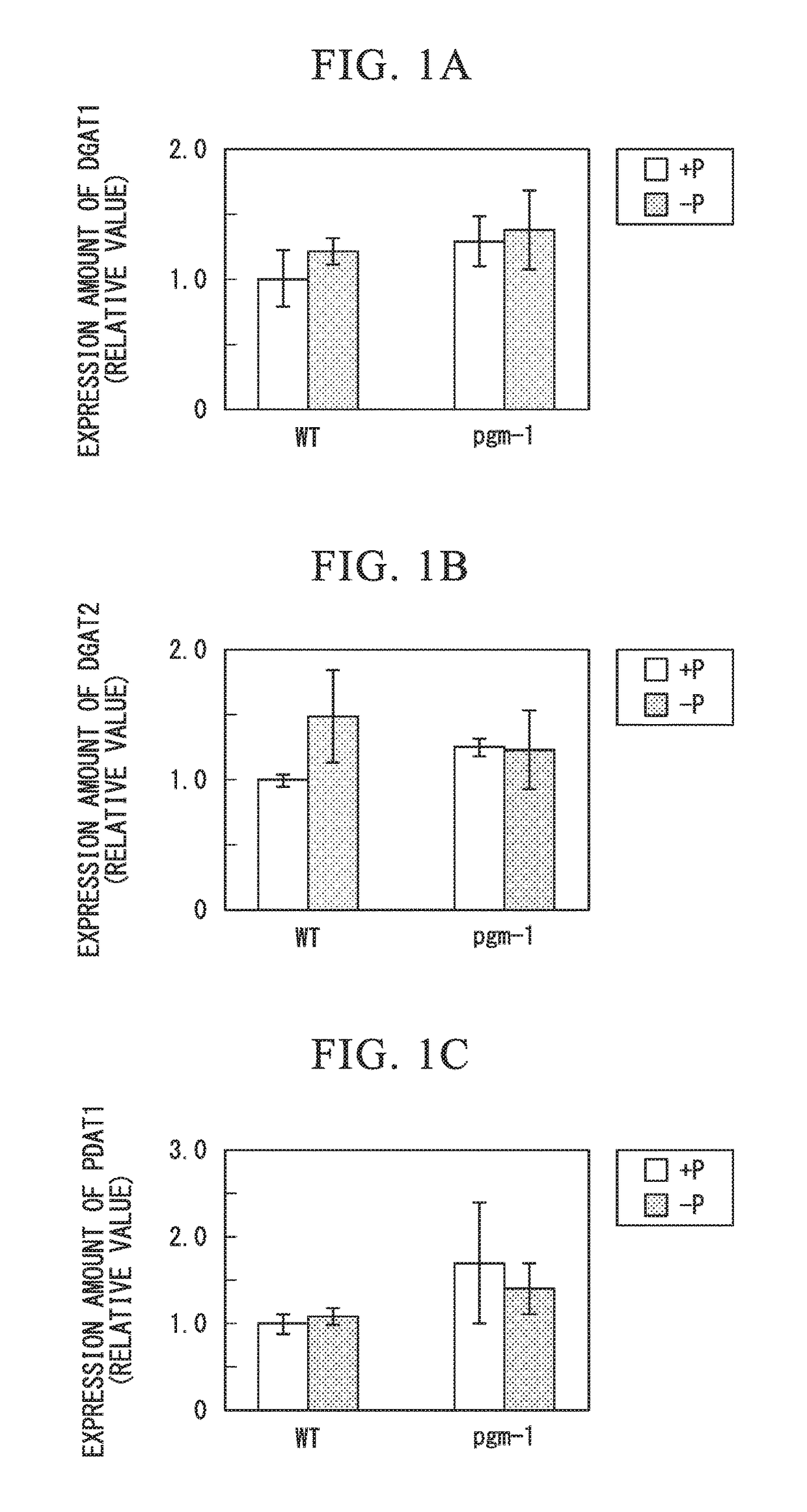 Fused gene, vector, transgenic plant, method for manufacturing vegetable fat or oil, method for constructing transgenic plant, and kit for constructing transgenic plant