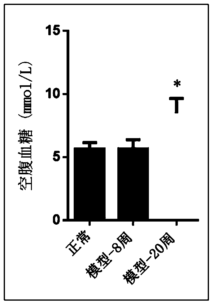 Animal model of child and adolescent metabolic syndrome and construction method