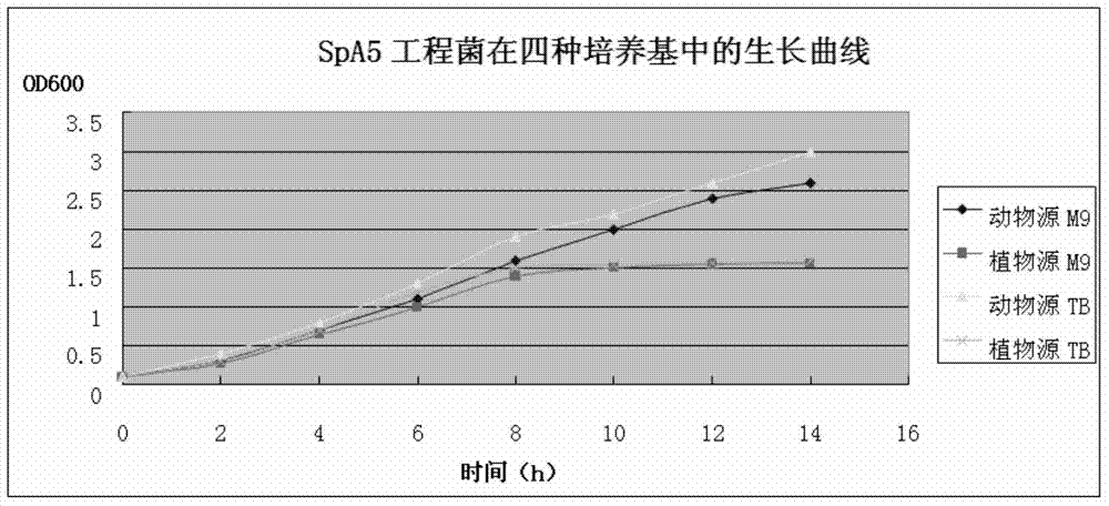 Staphylococcus aureus SpA5 mutant, as well as preparation method and application thereof