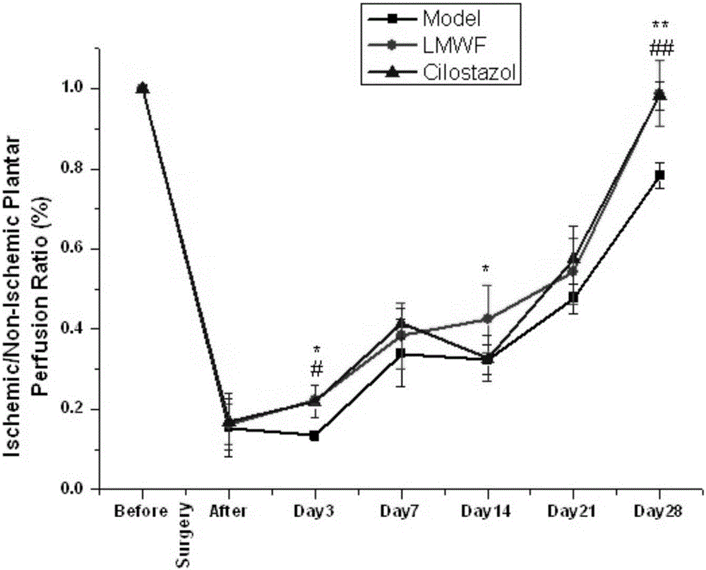 Application of fucoidan to preparing products for preventing and/or treating lower limb peripheral artery vascular diseases