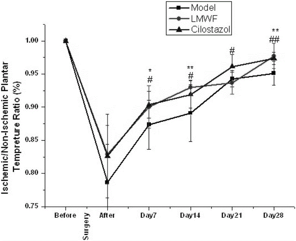 Application of fucoidan to preparing products for preventing and/or treating lower limb peripheral artery vascular diseases