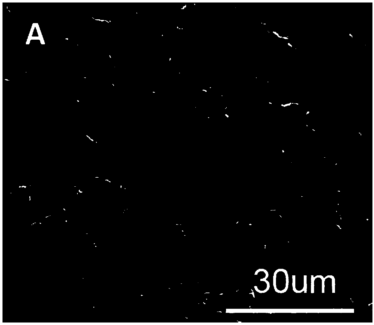 Device for microorganism electrochemical reduction of carbon dioxide using microorganisms