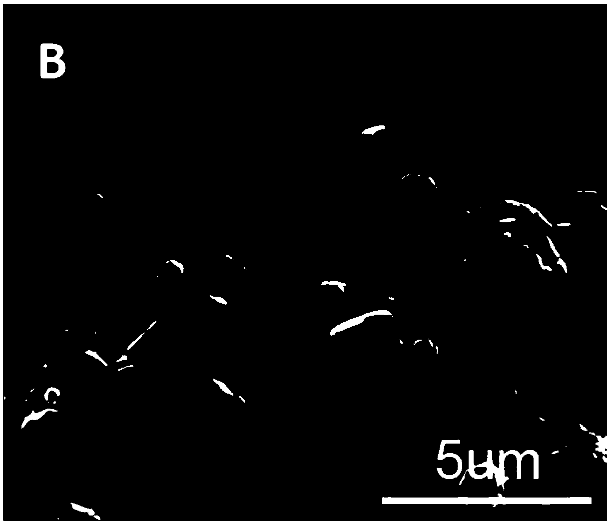 Device for microorganism electrochemical reduction of carbon dioxide using microorganisms