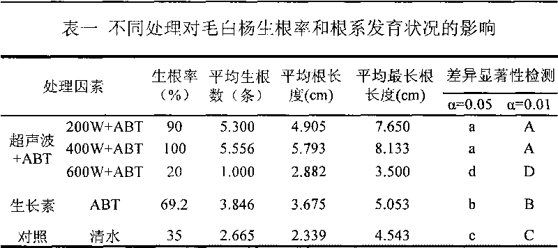 Method for improving cuttage rooting and survival rate of shrub woody plant with ultrasonic treatment