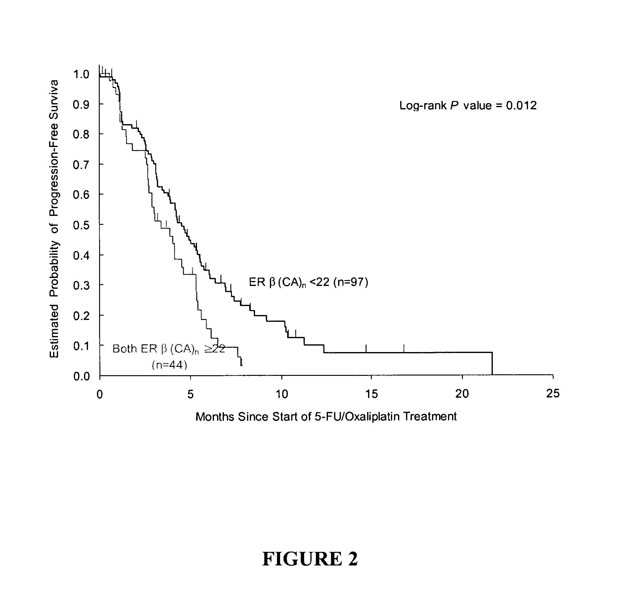 Gene Polymorphisms as Predictors of Tumor Progression and Their Use in Cancer Therapy