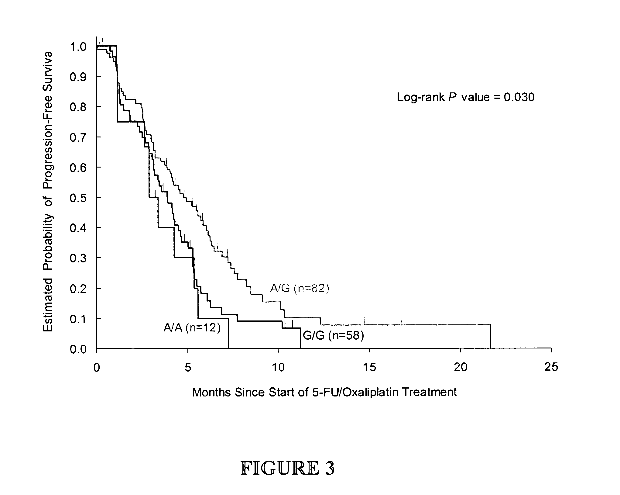 Gene Polymorphisms as Predictors of Tumor Progression and Their Use in Cancer Therapy