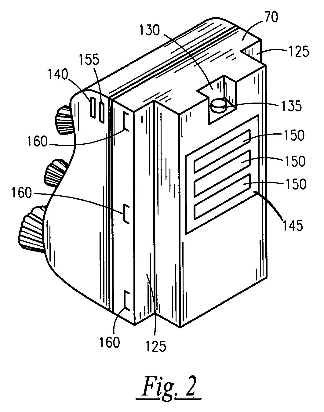 Shower mounted back cleansing and massaging apparatus