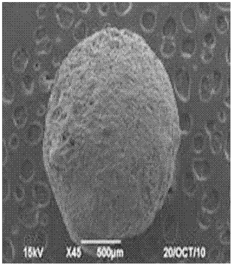 One-step continuous granulation preparation method for water absorbent granule