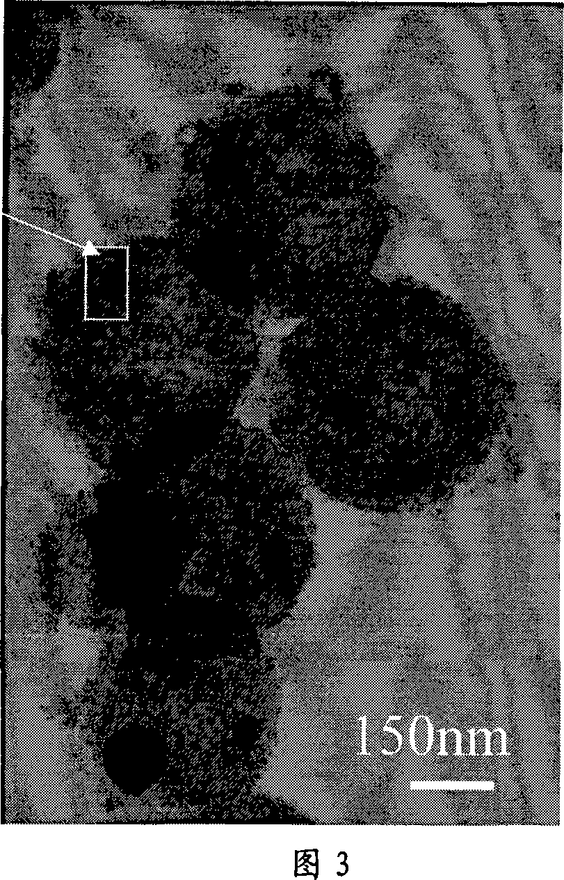 Method for preparing titanium dioxide hollow sphere containing gold nano particles