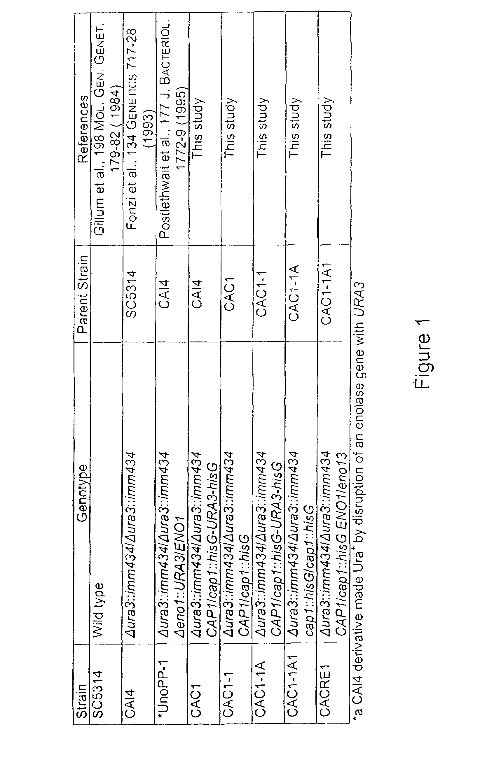 Methods for regulating bud-hypha transitions and cAMP levels in <i>Candida albicans</i>