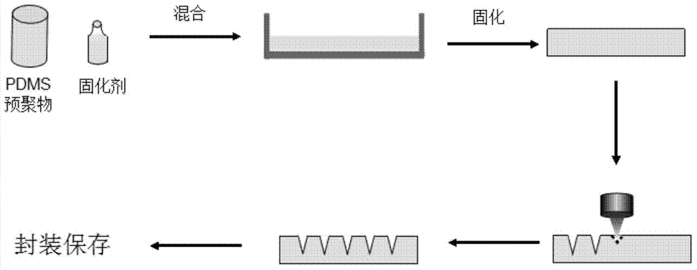 Microneedle template and preparation method thereof