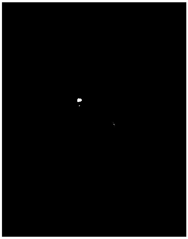 Si-Al-C-O fiber preparation method