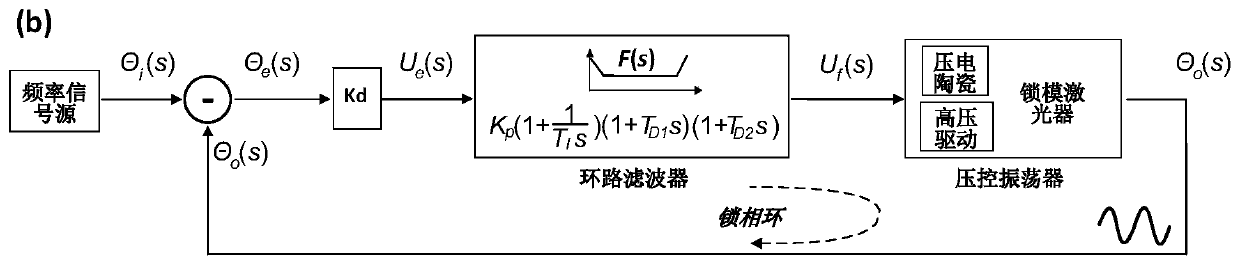 A differential mode-locked laser phase-locked loop