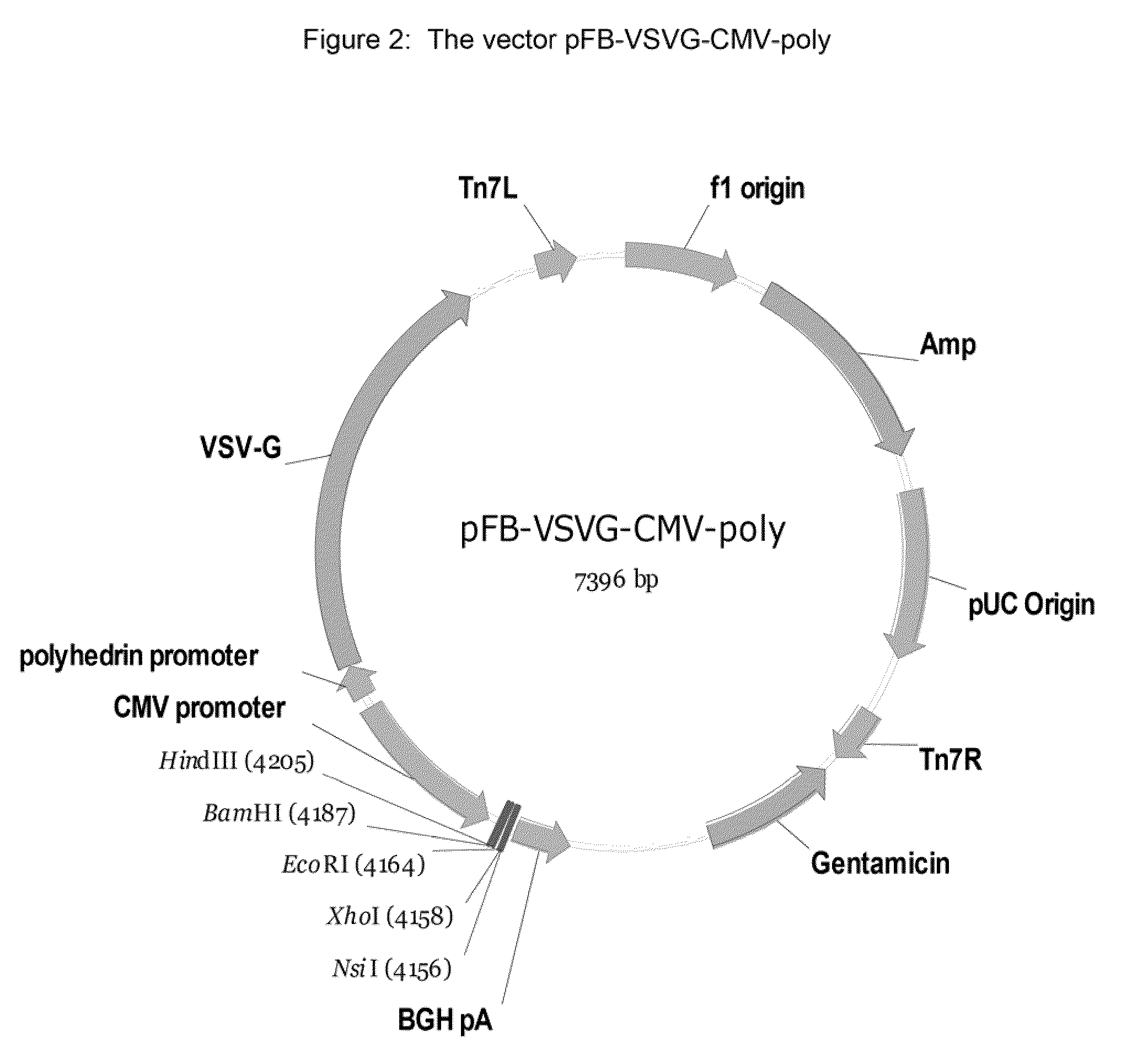 GPR 119 modulators