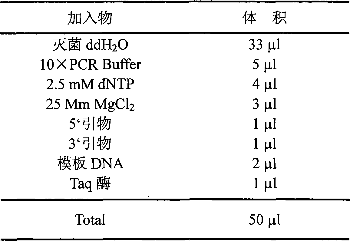 Method for preparing rabies virus antigen