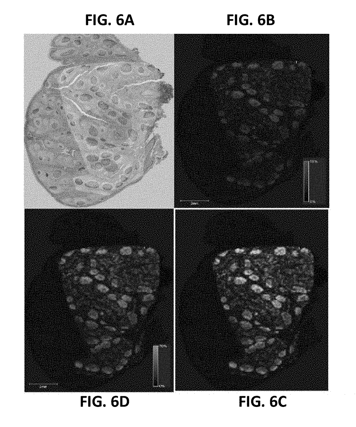 Detecting targets using mass tags and mass spectrometry