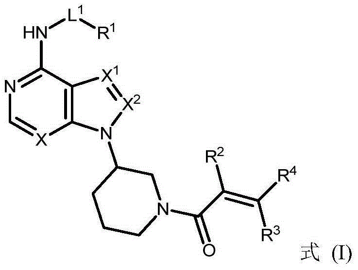 BTK (bruton tyrosine kinase) inhibitor and purpose of BTK inhibitor