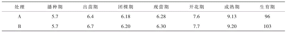 Mechanized full film furrow and ridge cultivation method of dry-farmed potato