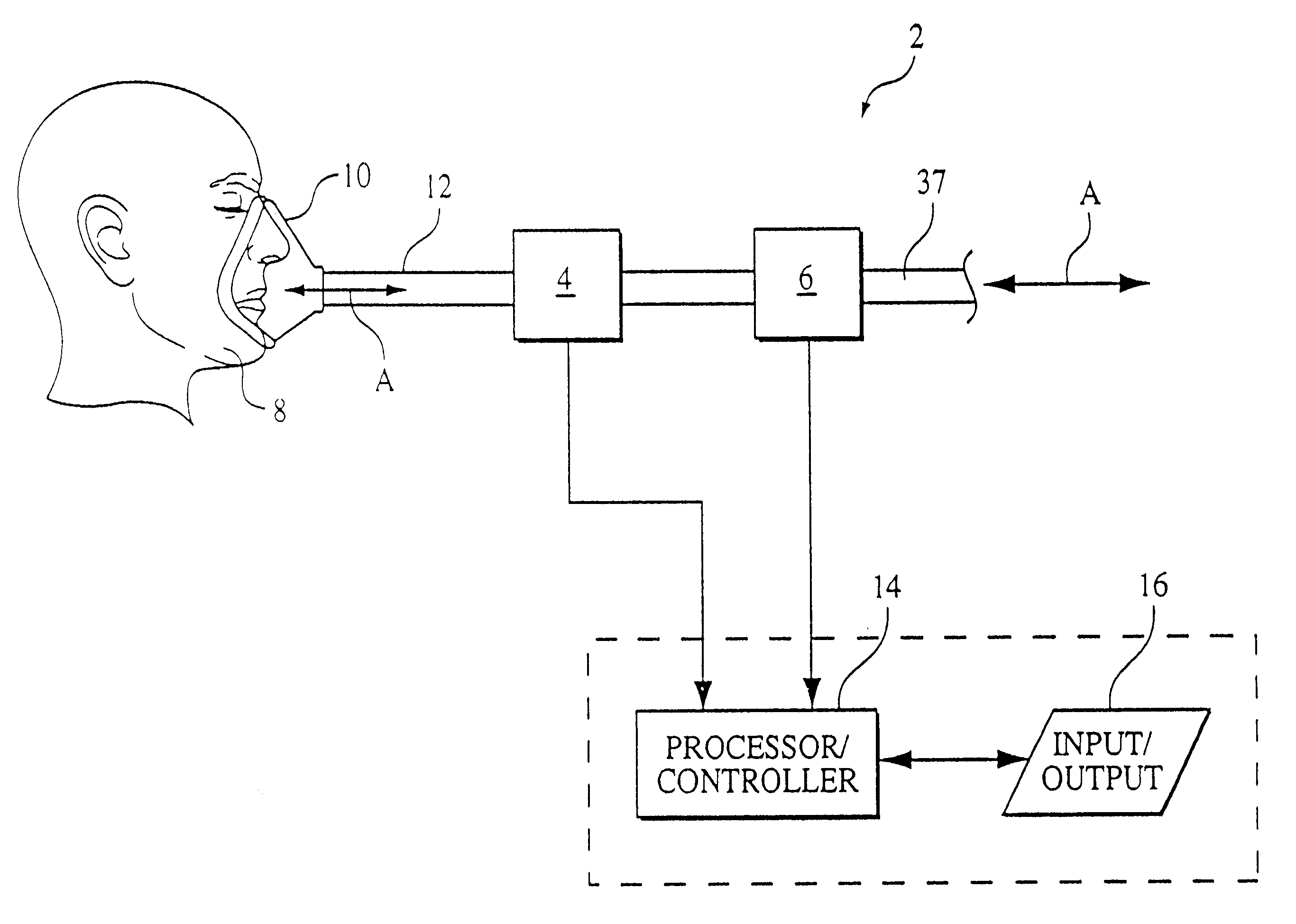 Method and apparatus for anatomical deadspace measurement