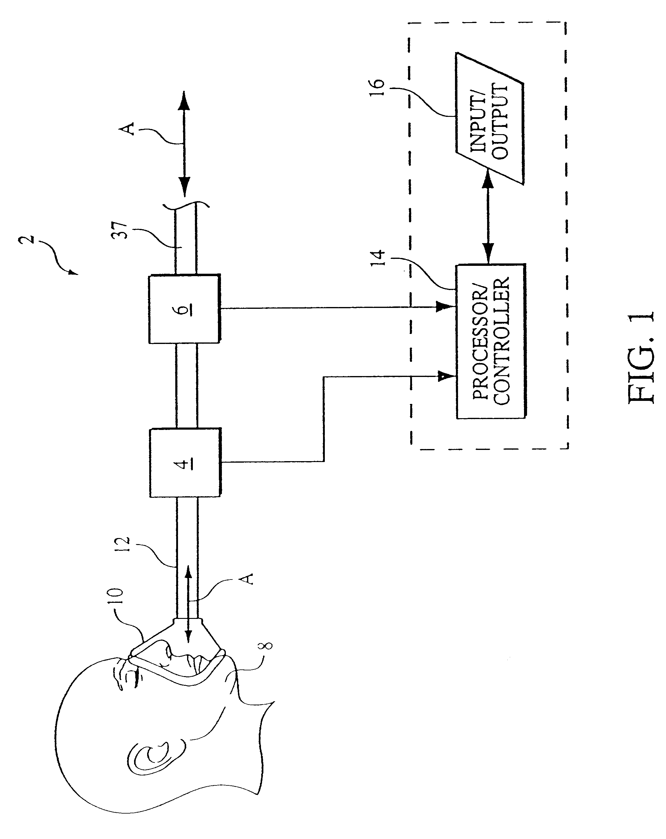 Method and apparatus for anatomical deadspace measurement