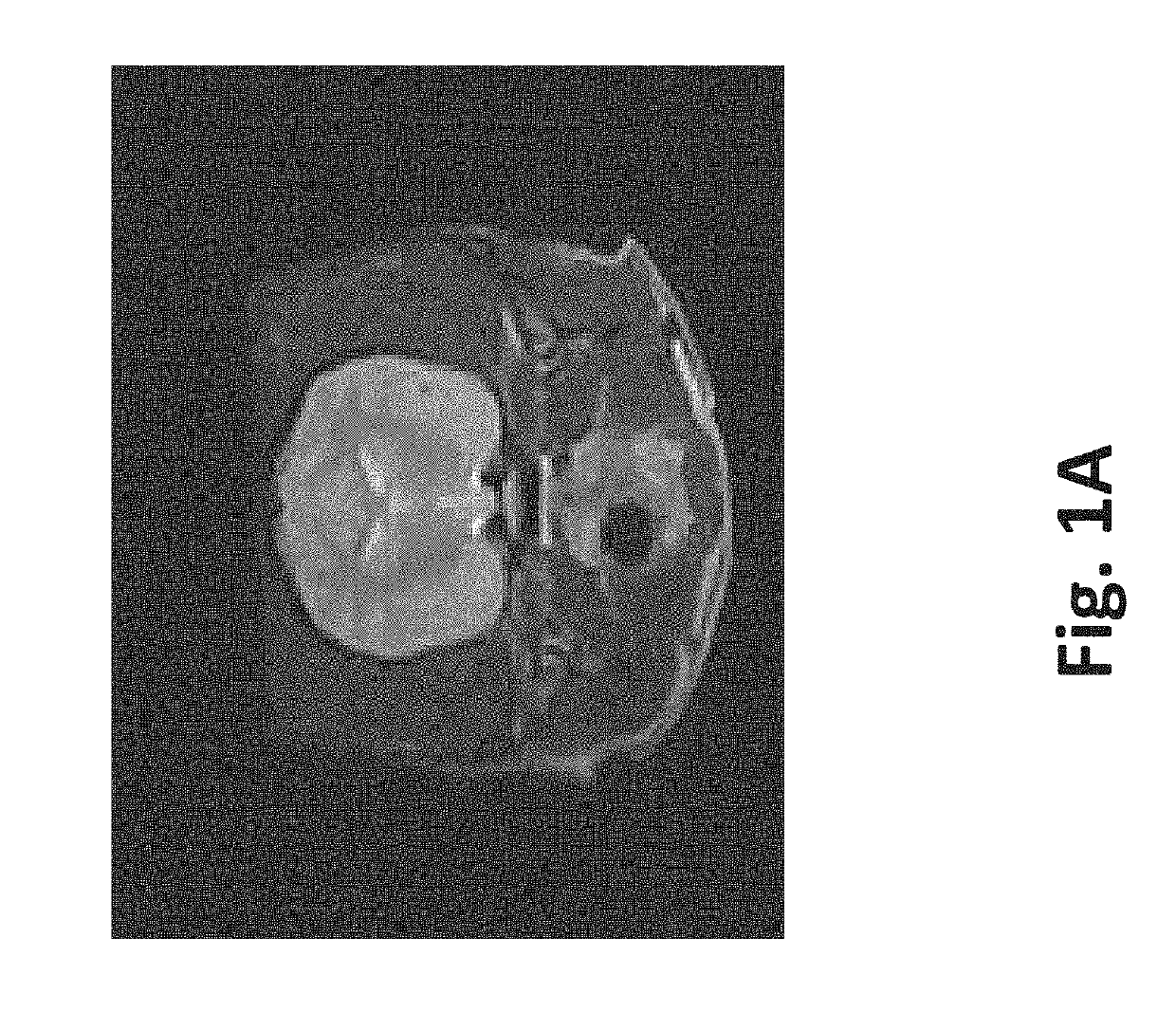 Methods for blood-brain barrier disruption using electrical energy