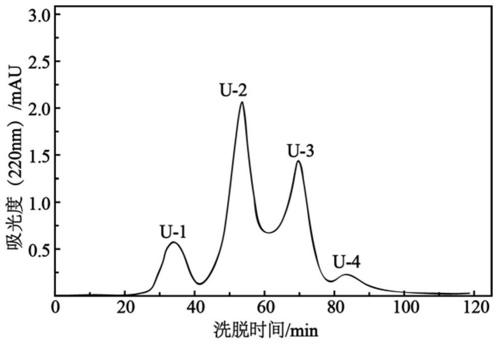 A kind of umami peptide and umami peptide seasoning and their preparation method