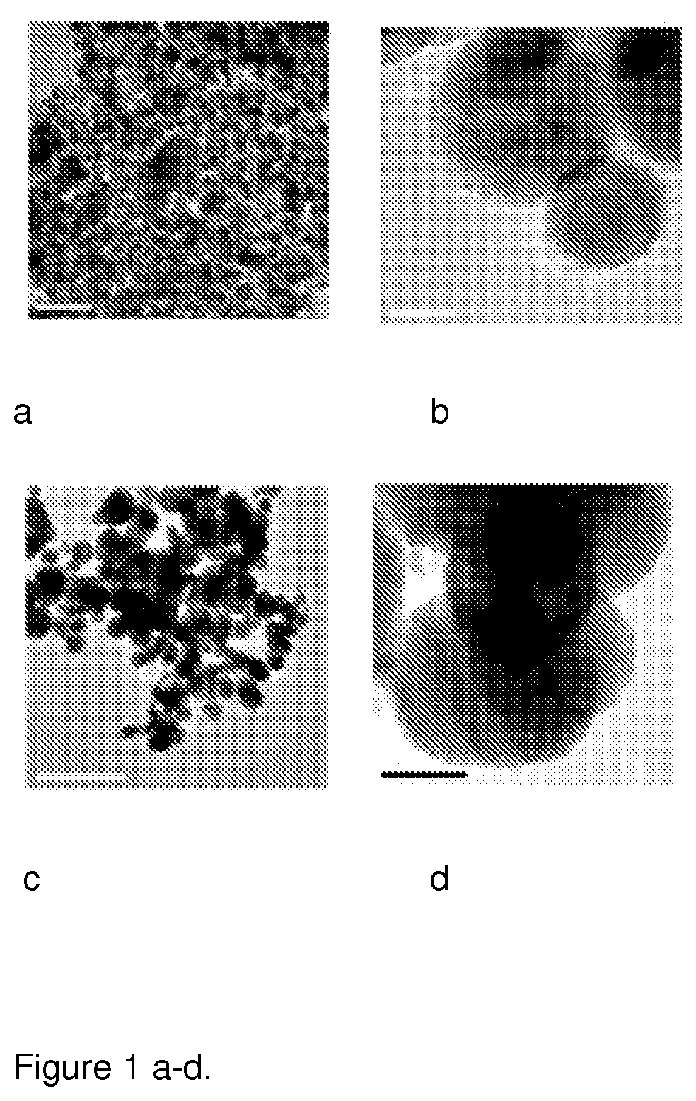 Functionalized magnetic nanoparticles and a method for preparation thereof