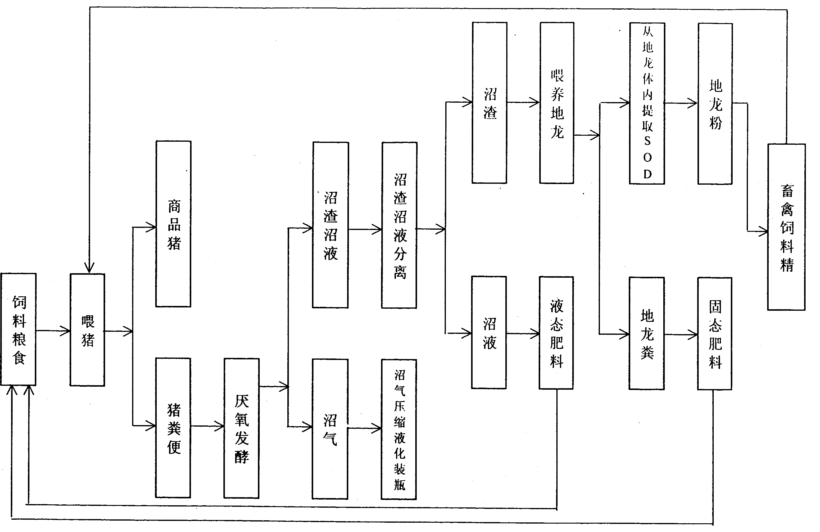 System engineering for ecological cultivating live pig and earthworm and comprehensively developing and utilizing them