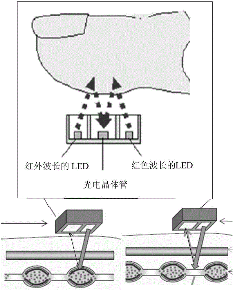 Terminal and blood pressure measuring method