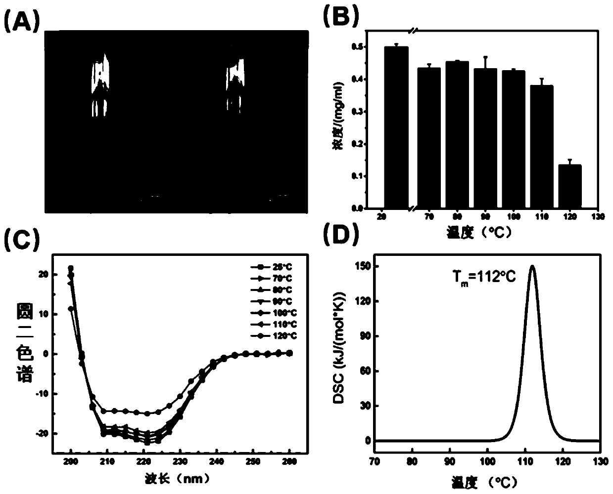 Preparation method and application of heat-resistant ferritin