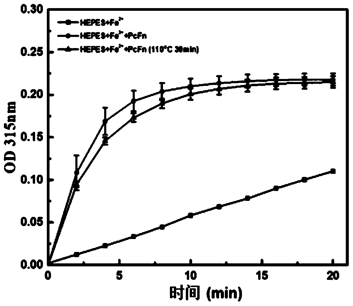 Preparation method and application of heat-resistant ferritin