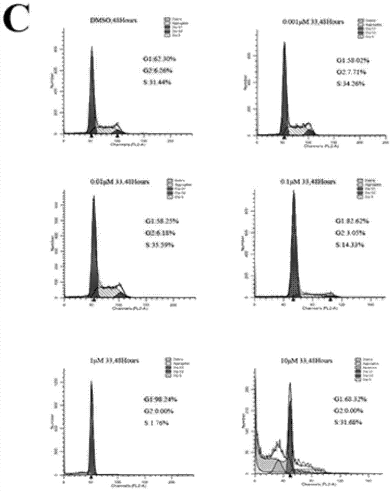 Pteridinone derivative used as FLT3 inhibitor, and application thereof