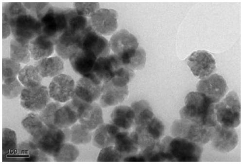 Dendritic polymer modified magnetic microspheres with uniform particle size and its preparation method and application