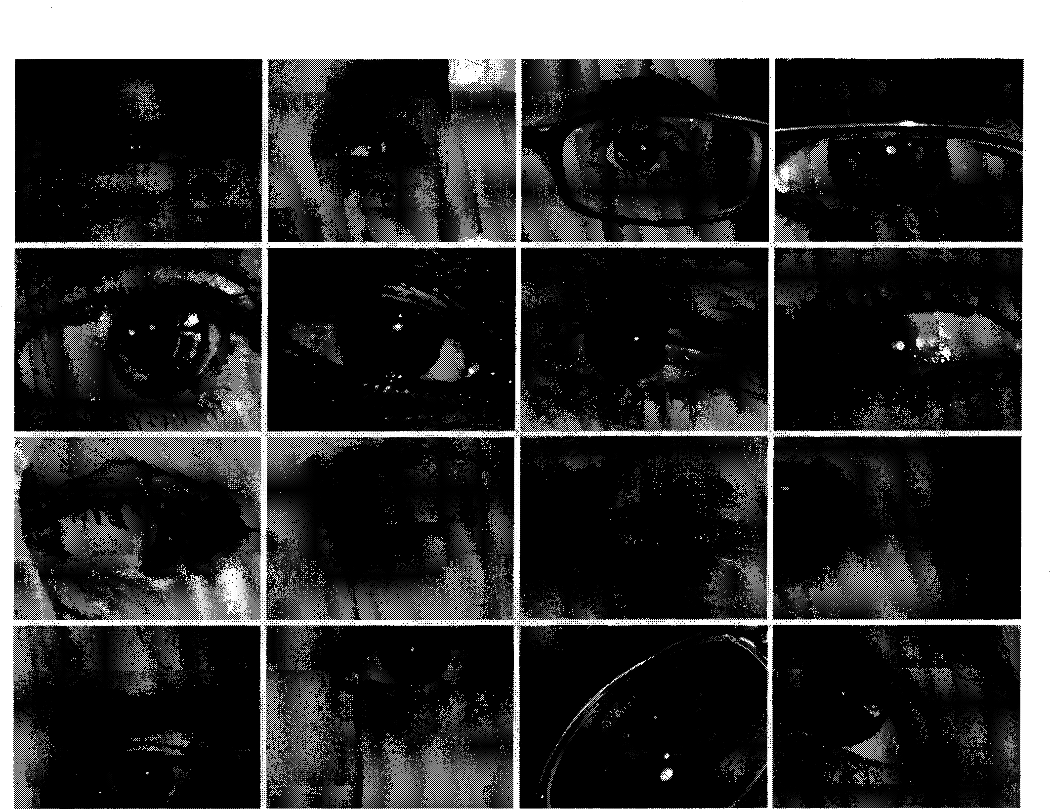 Iris splitting method suitable for low-quality iris image in complex application context