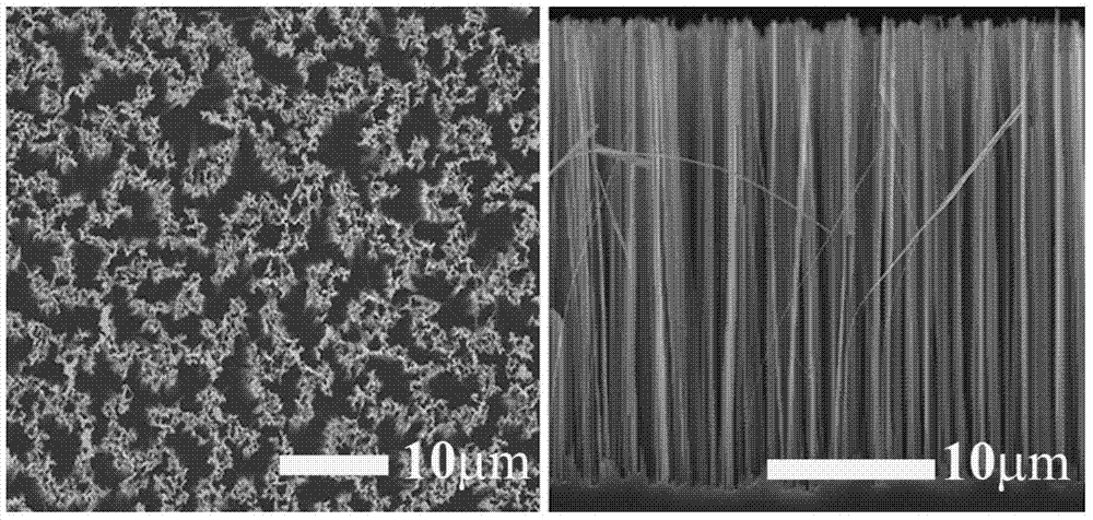 Silicon-nanowire-based alkaline phosphatase fluorescent chemosensor, preparation method and application