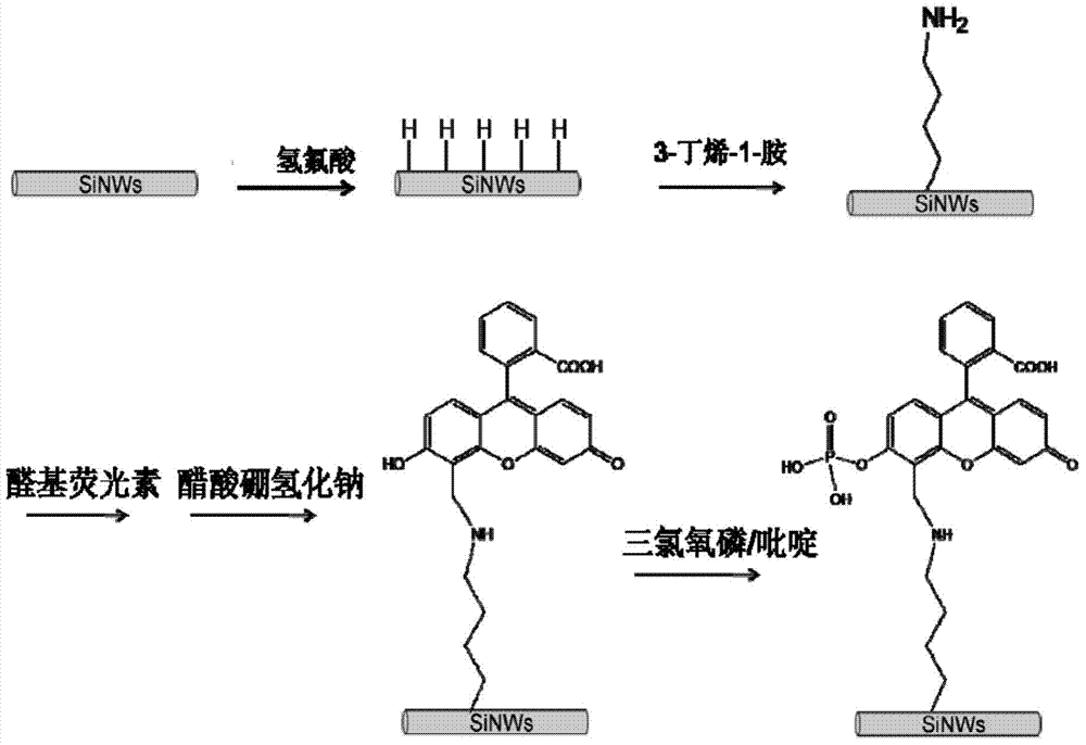 Silicon-nanowire-based alkaline phosphatase fluorescent chemosensor, preparation method and application