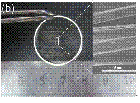 Overlong vanadium pentoxide nanowire harness with hierarchical structure and preparation method thereof