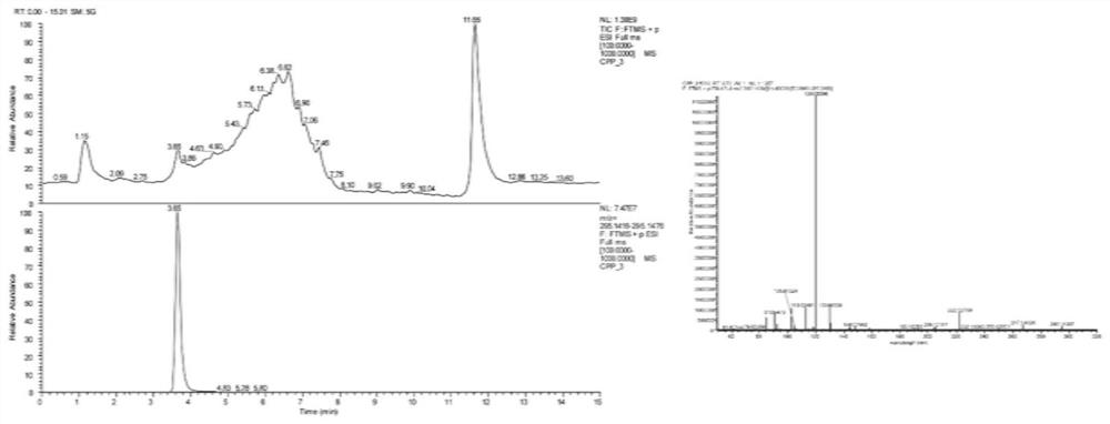 Application of chicken-derived small molecule peptide in preparation of product for preventing and improving liver injury and secondary symptoms thereof and product